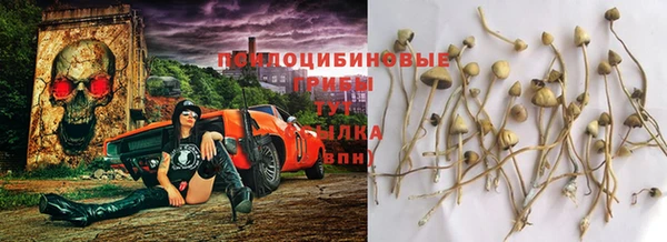 дистиллят марихуана Тайга