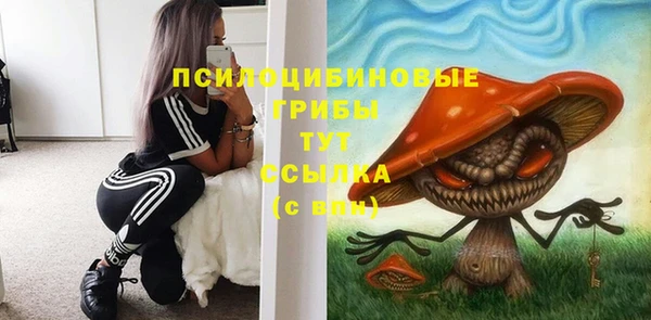 стафф Тавда