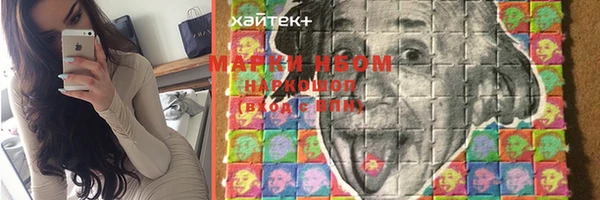 стафф Тавда