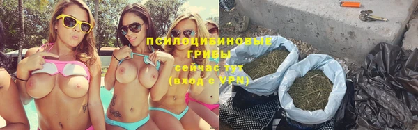 стафф Тавда