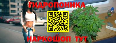каннабис Кимры