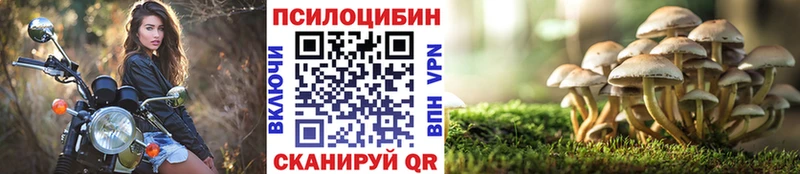 Псилоцибиновые грибы MAGIC MUSHROOMS  Рязань 