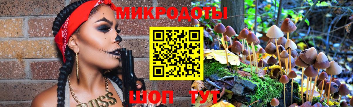 где можно купить   Вход с VPN  Рязань  Псилоцибиновые грибы мицелий 