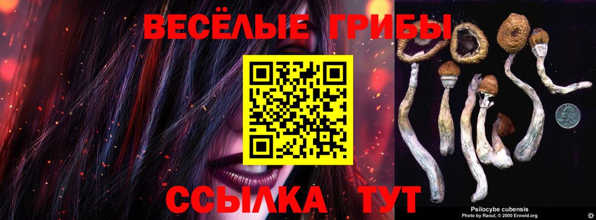 Галлюциногенные грибы Psilocybine cubensis Рязань